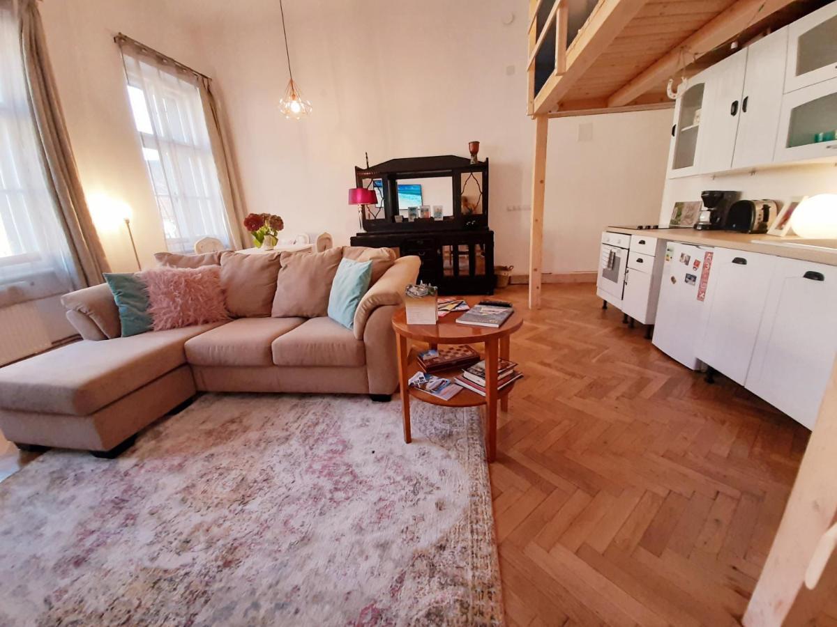 Central Loft Apartment Brašov Exteriér fotografie